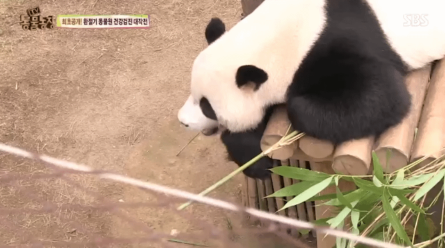 0ccf000ecf9f85b720da5147f23495bcca814e14