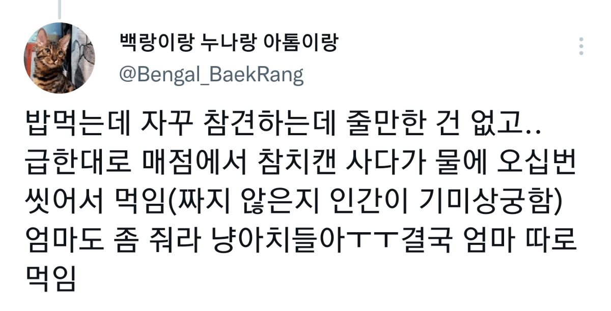 캠핑하러 왔다가 맹수들한테 집 습격당함 ㅜㅜ.twt | 인스티즈