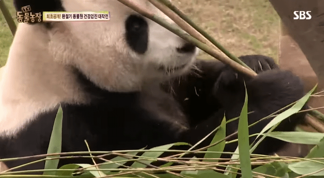 0f0d2a8281686b37f62667e58f774614ab417eb0