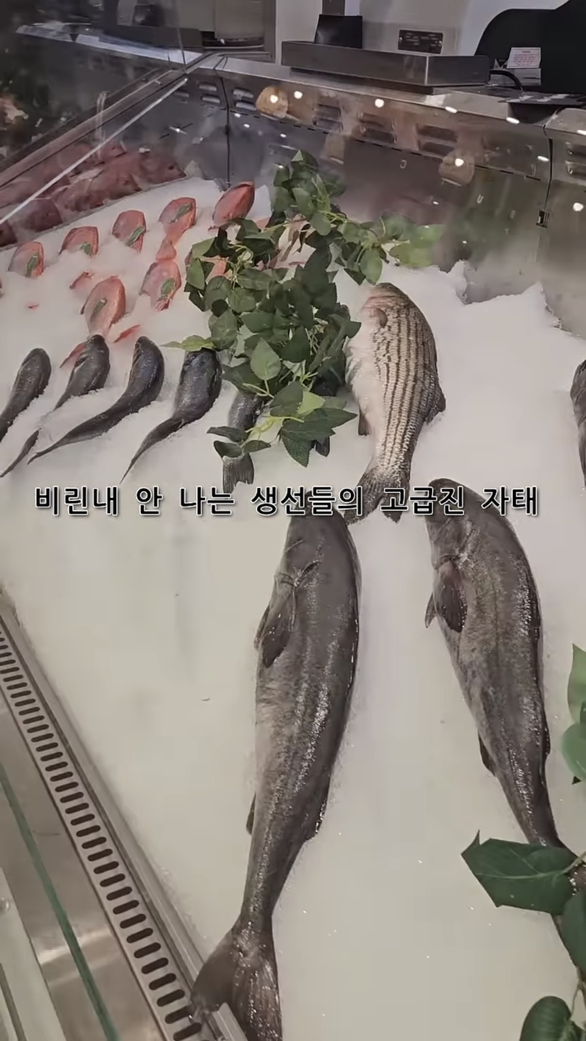 줄서서 들어갈 정도라는 미국 실리콘밸리에 새로 생긴 한국마트.ytb | 인스티즈