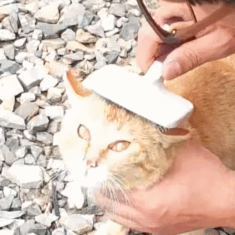 1106c5b435273f58e75db14070672f2c11047093