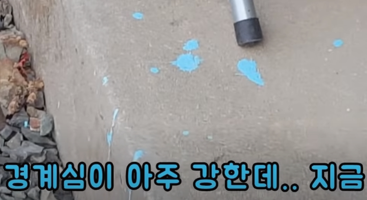 13350e15f292015e29df7ac410bac89a14d00ecc