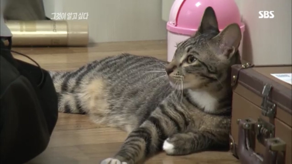 당신은...태어난 사람.twt | 인스티즈