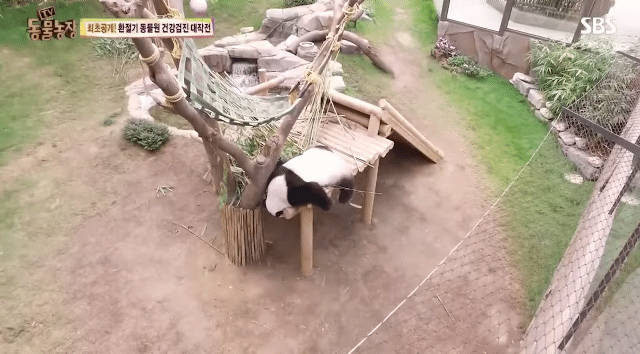 1abc9905e37e4ba2eddb29efa5d82c789dfff6a6