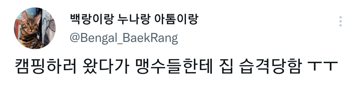 캠핑하러 왔다가 맹수들한테 집 습격당함 ㅜㅜ.twt | 인스티즈