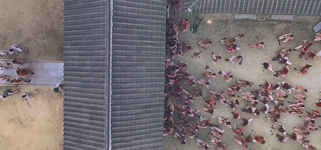 한국적인 매력을 보여주려고 노력했다는 드라마 킹덤의 칼갈은 연출.gif | 인스티즈