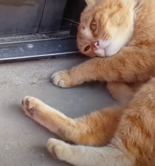 1ce5d5624e90ef60be0692e866d92c69531938f8