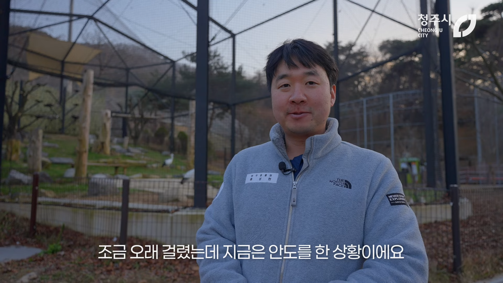 최근 내성발톱 수술한 청주동물원의 순둥이 호랑이 이호.JPGIF | 인스티즈