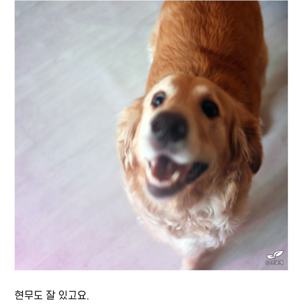 알도 부화 시키는 드루이드.jpg | 인스티즈