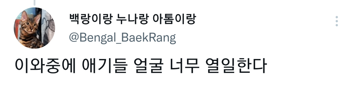 캠핑하러 왔다가 맹수들한테 집 습격당함 ㅜㅜ.twt | 인스티즈