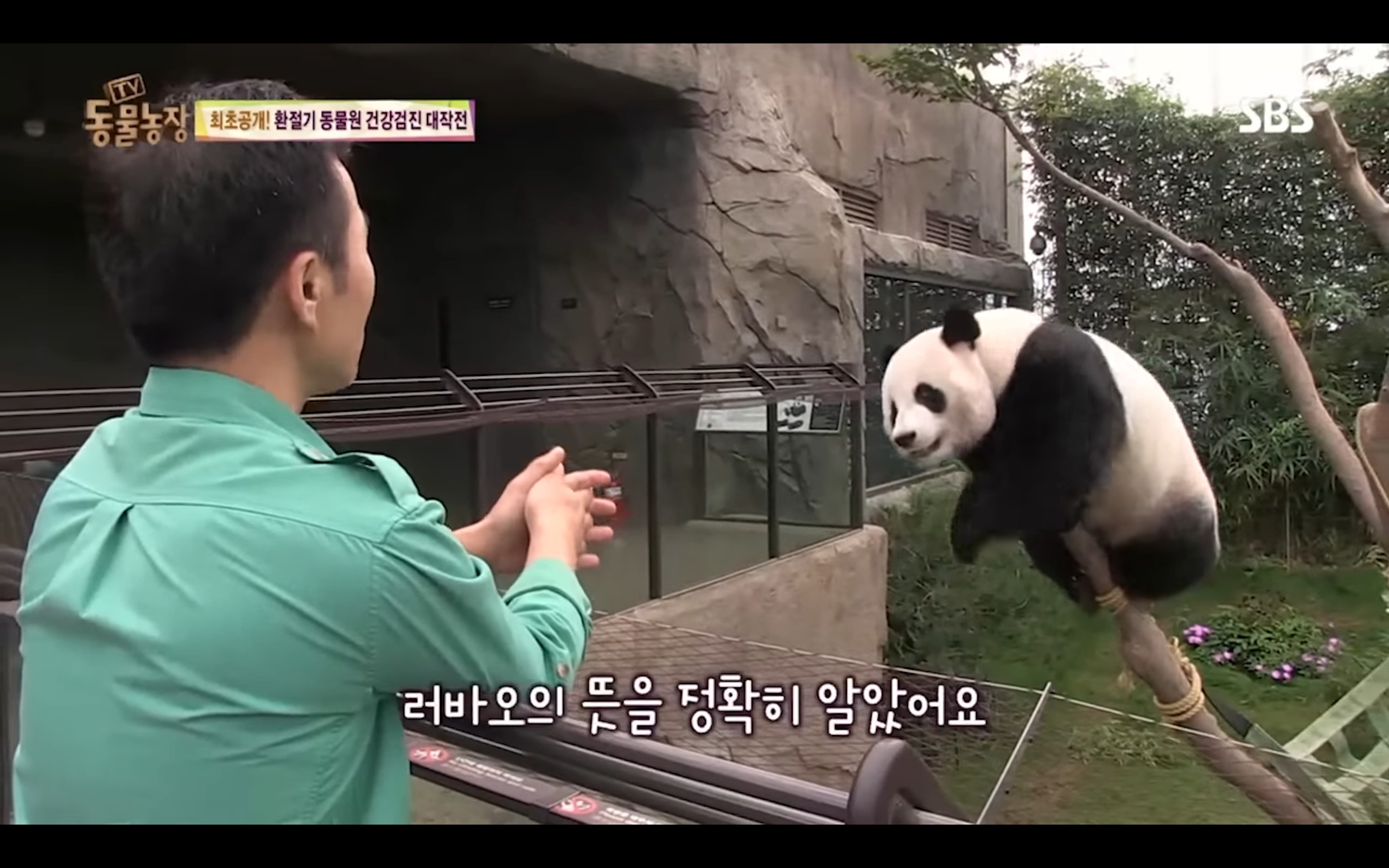 2a46023c097e09a92483741ea29f6c2f44a3a8aa