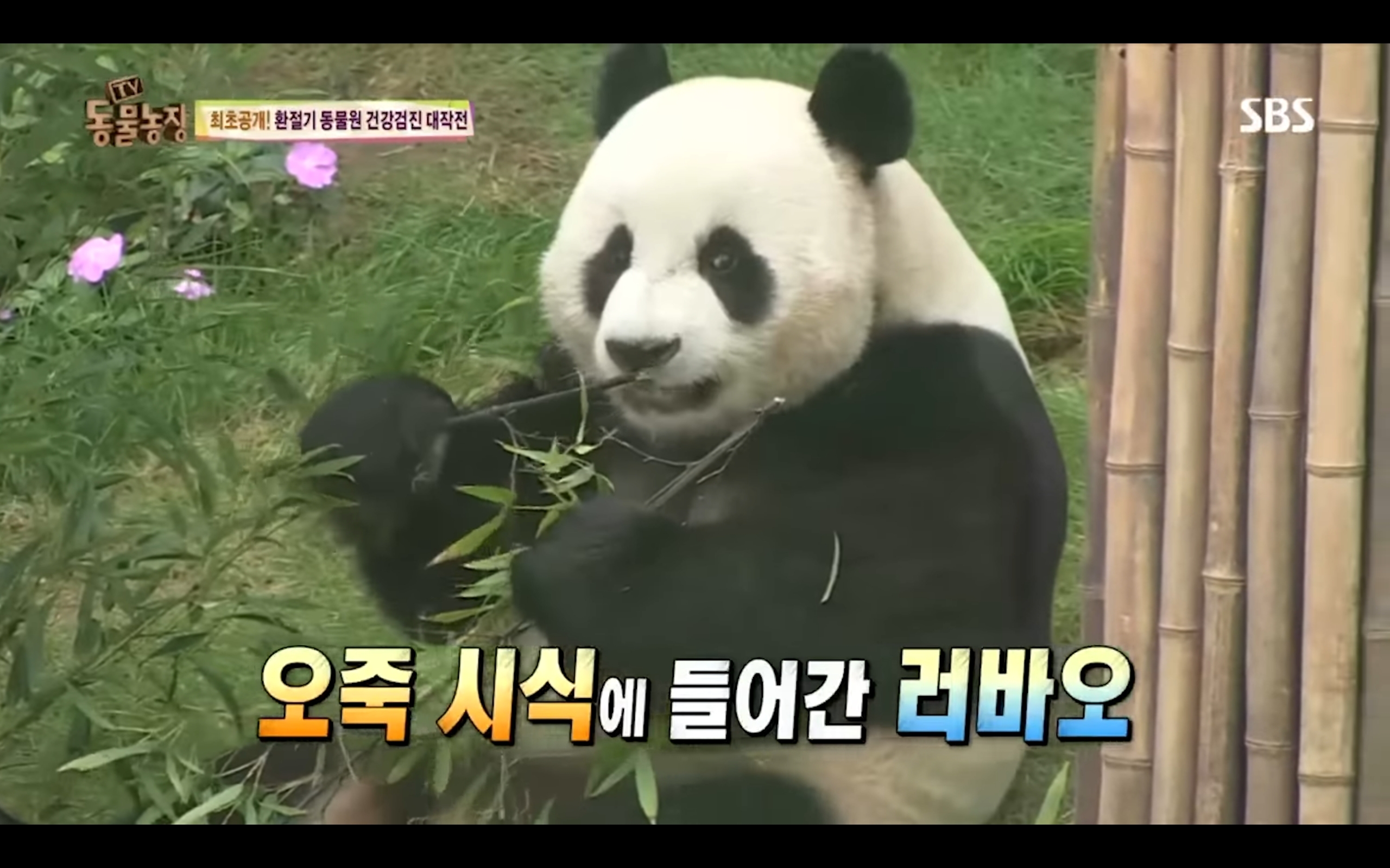 2b71172be9c04759bd87a4ecedffda123f051a29