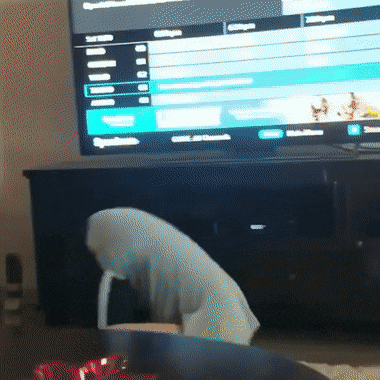 집사의 앞구르기를 본 고양이.gif | 인스티즈