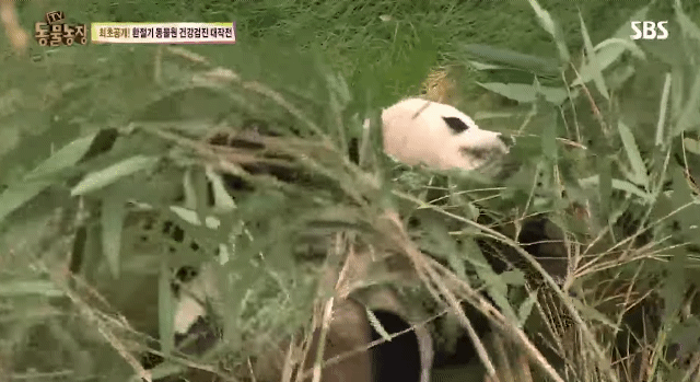 2e09789b47df36043625969c80e791d2b05d502a