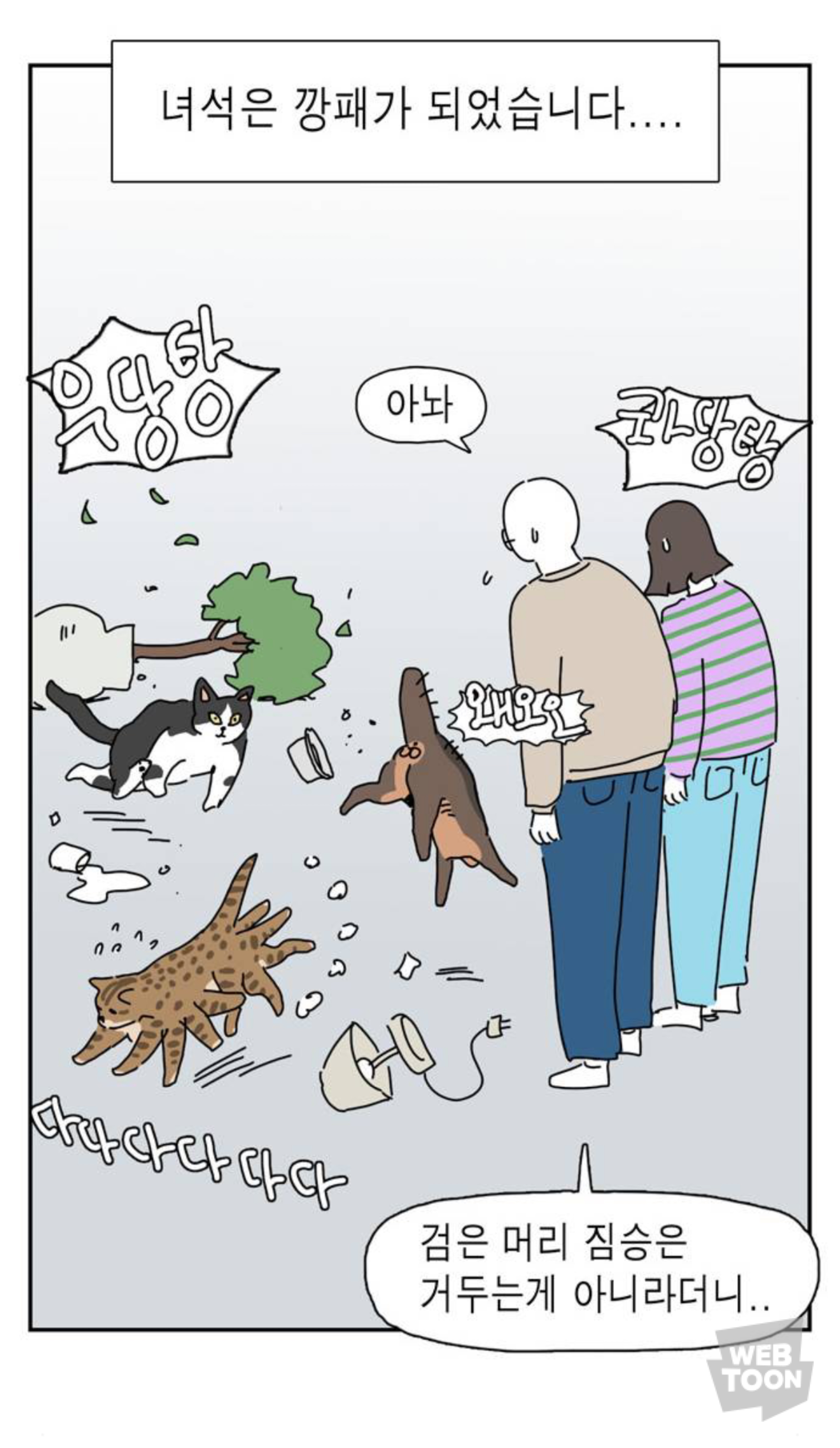 길냥이 입양한 좀비딸 작가 근황 | 인스티즈