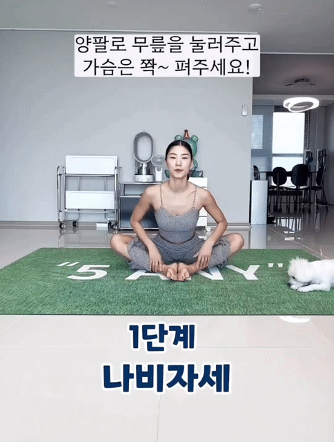 가로로 다리 찢는 방법🧘��‍♀️ | 인스티즈