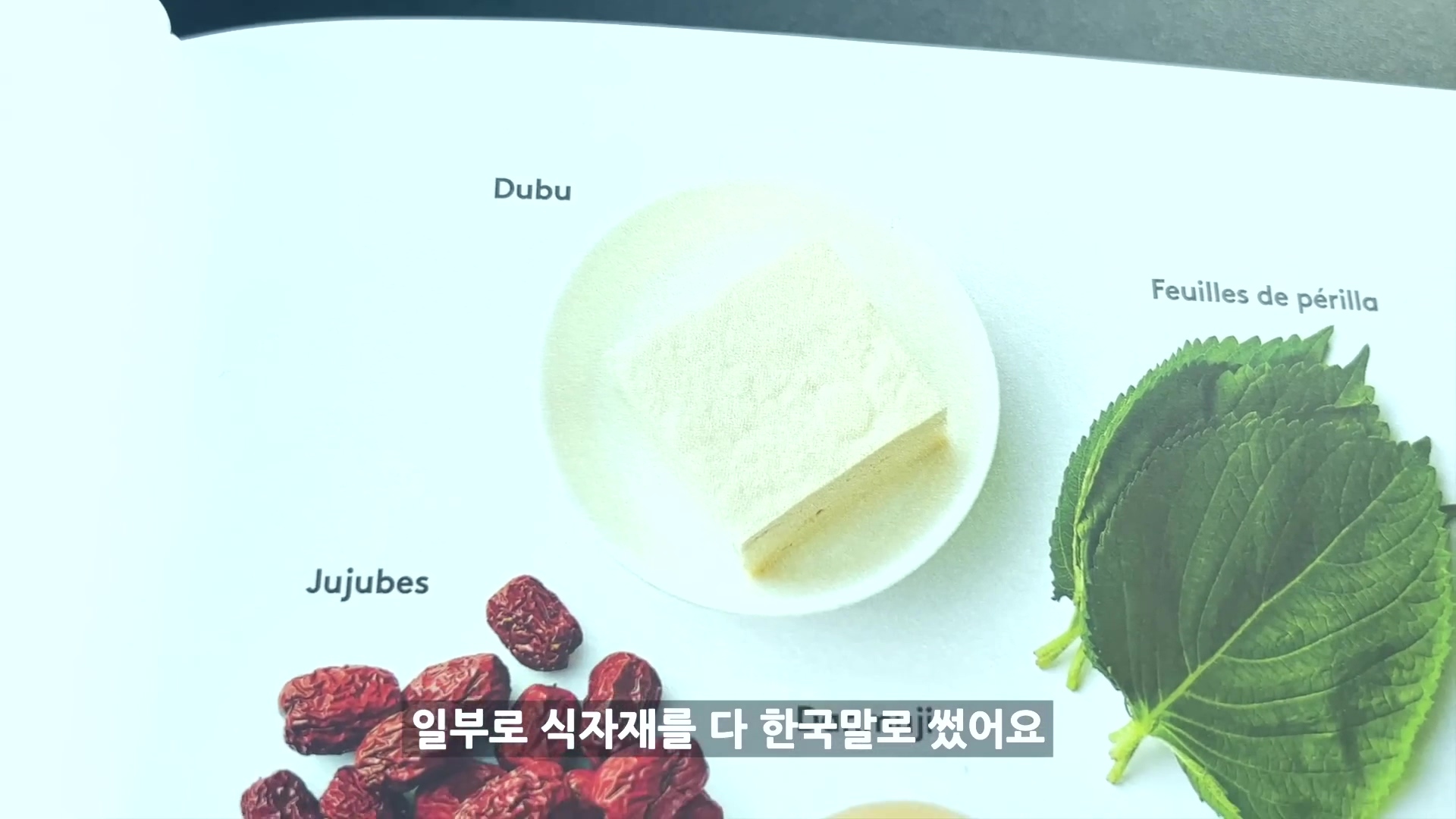 파비앙이 가족들과 한국여행 하면서 아쉬웠던 것 | 인스티즈