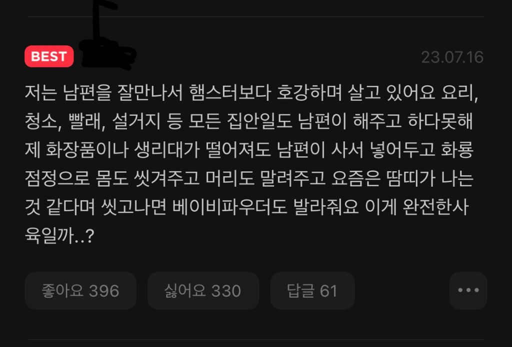 혼자 사는 여성 일상툰에 침투한 기혼 tmi 댓글.jpg | 인스티즈