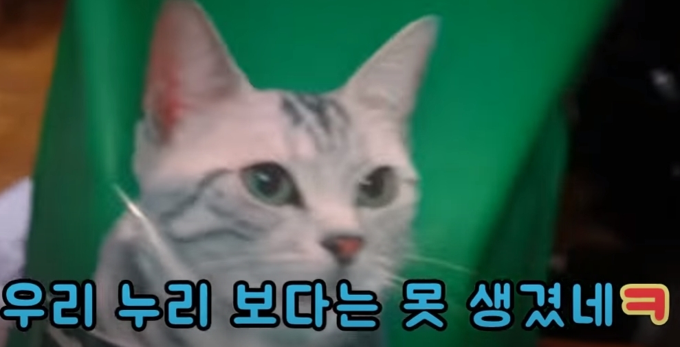 3cef3dc2086b4d9e9e484209328d9642237ba00d