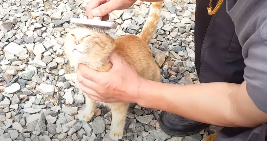 3d6e6118b7f3eb29cb675bec46e5aba9de563b34