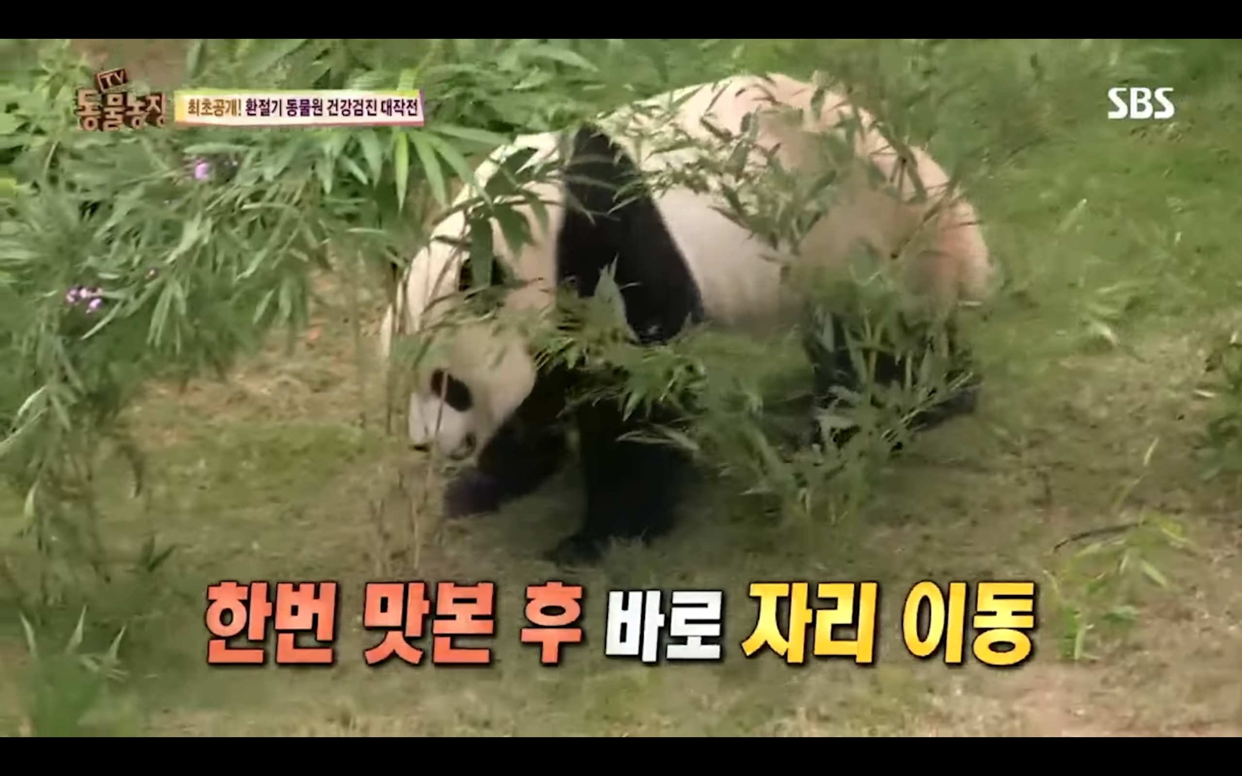 40b94430b005c7d8113639c571136cbe85e0a97b