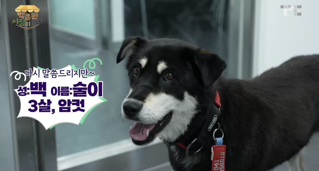 신입직원이 더본코리아 서열1위됨. 이름은 백술이 | 인스티즈