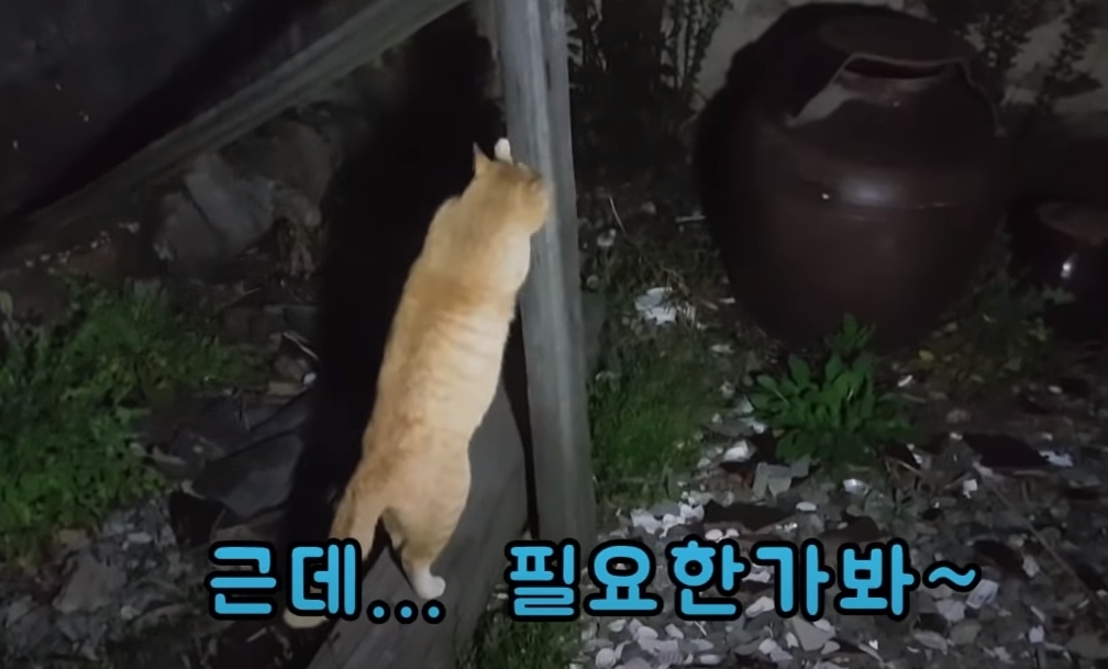 42cb9580853fbd616bd2408166f1e90b3861a9e1