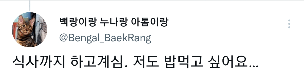 캠핑하러 왔다가 맹수들한테 집 습격당함 ㅜㅜ.twt | 인스티즈