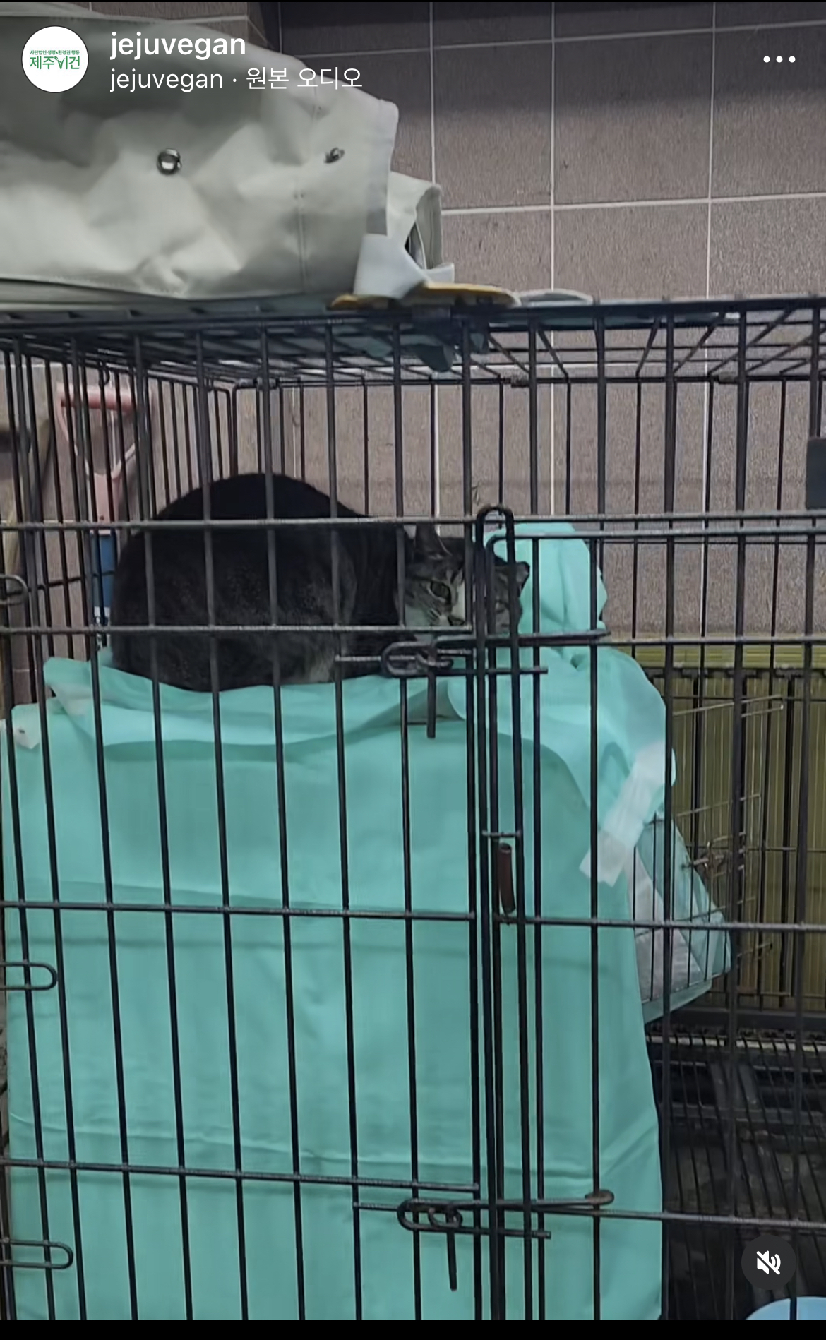 마라도 고양이 2차 회의에서 조류관계자가 고양이는 살처분 해도 되는 존재다 라고 발언 | 인스티즈