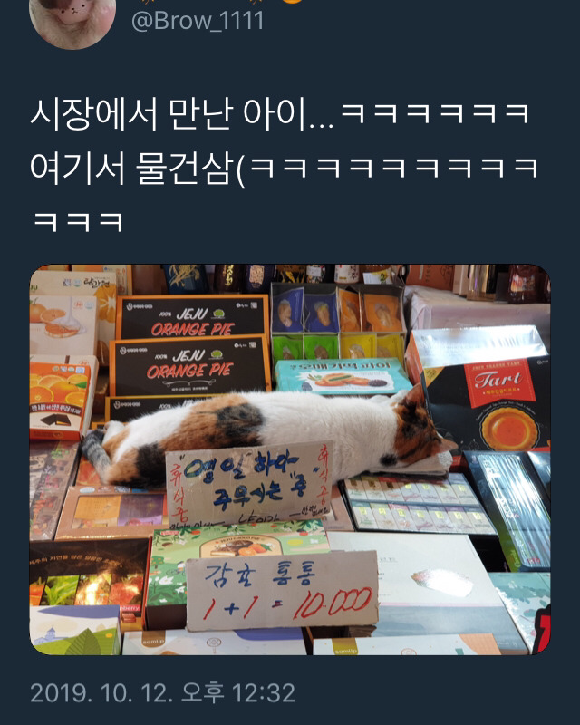 당신은...태어난 사람.twt | 인스티즈