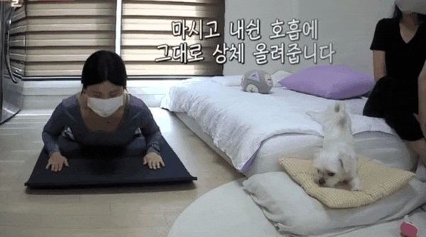 [세상에이런일이] 필라테스하는 강아지.gif | 인스티즈