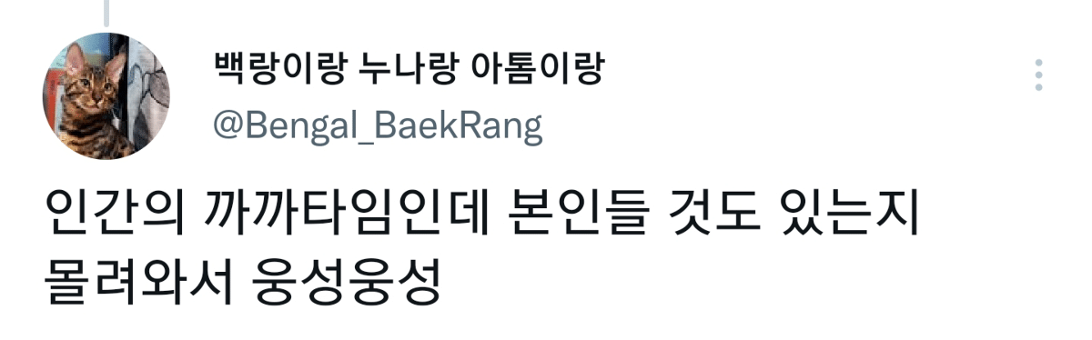 캠핑하러 왔다가 맹수들한테 집 습격당함 ㅜㅜ.twt | 인스티즈