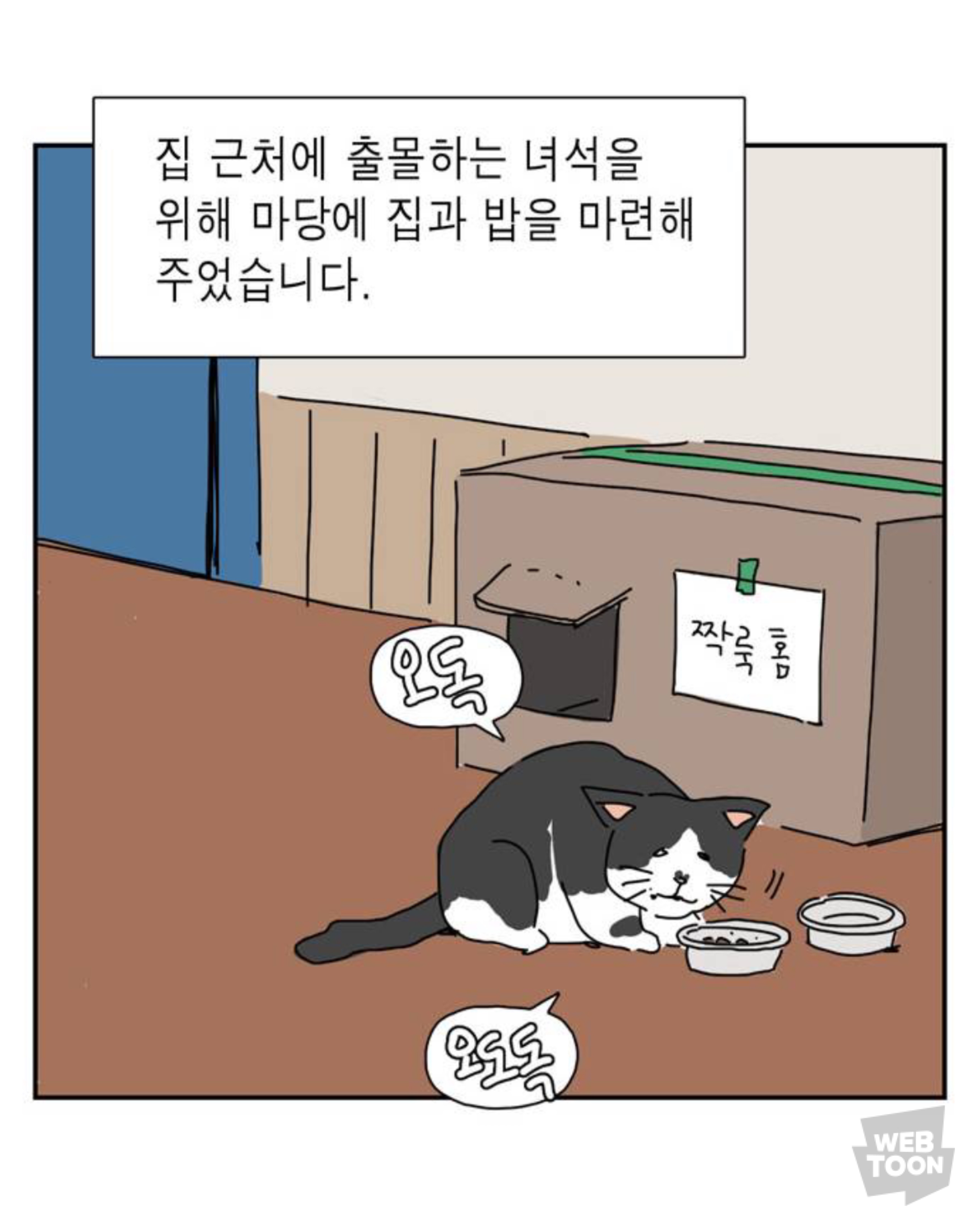 길냥이 입양한 좀비딸 작가 근황 | 인스티즈