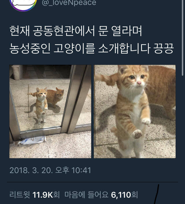당신은...태어난 사람.twt | 인스티즈