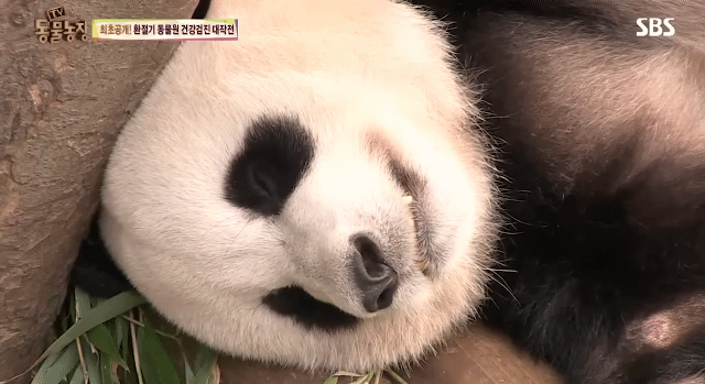 4c402b0fdf4762a4d8eaf84711c0c3d54da58ddc