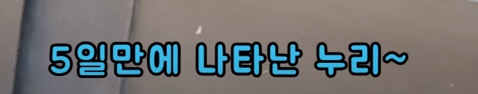 4c95fc82525cd2d76fc6fd4dc611071d93d492cd