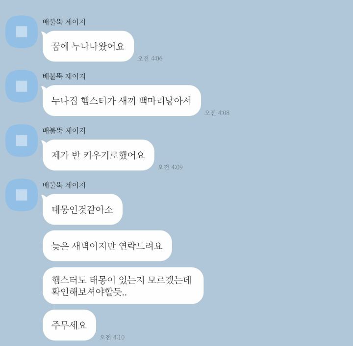 남의 집 햄스터 태몽 꾼 사람.twt | 인스티즈