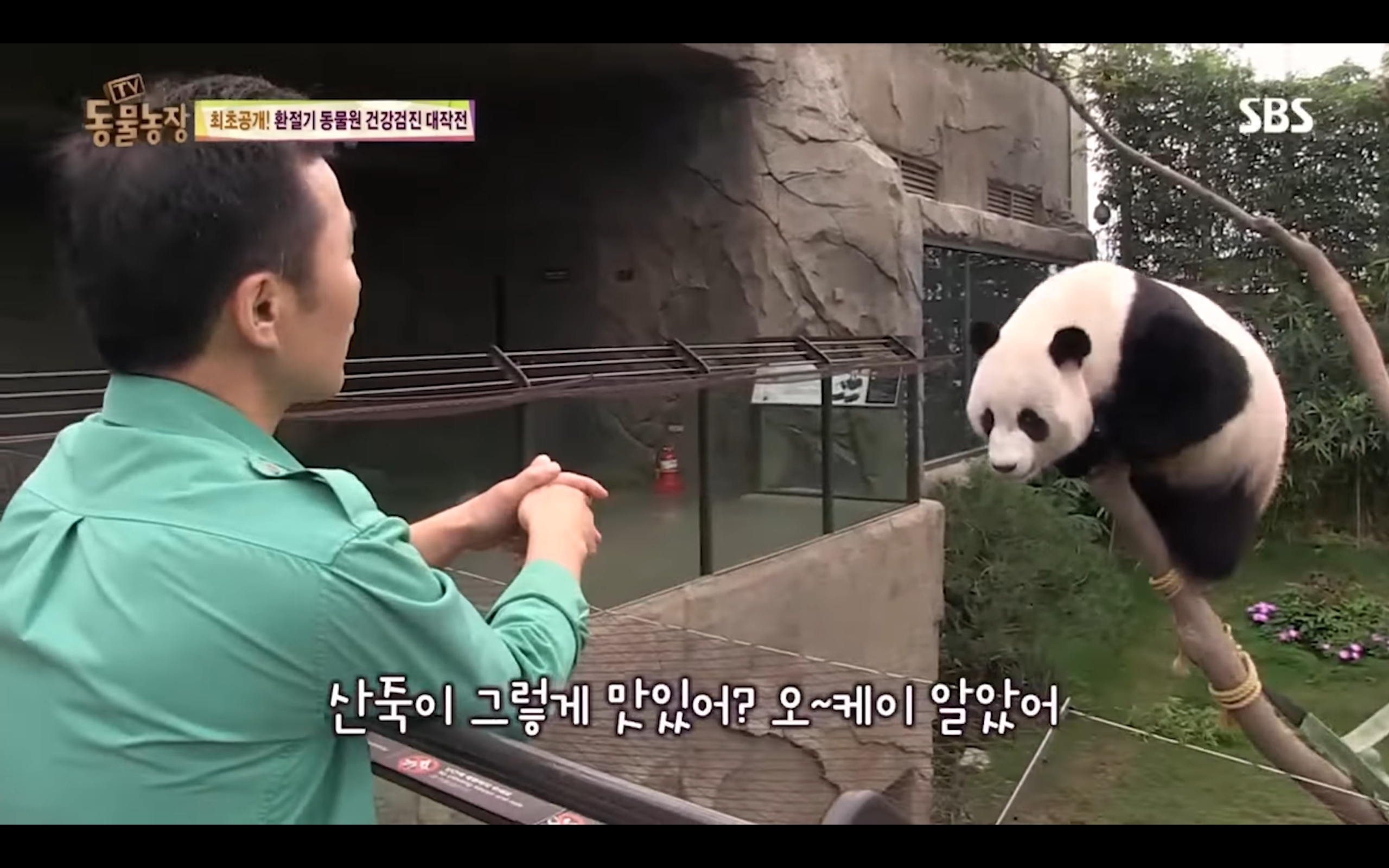 5009ef5133c1826b5d3686189285f2d1311a9d0a