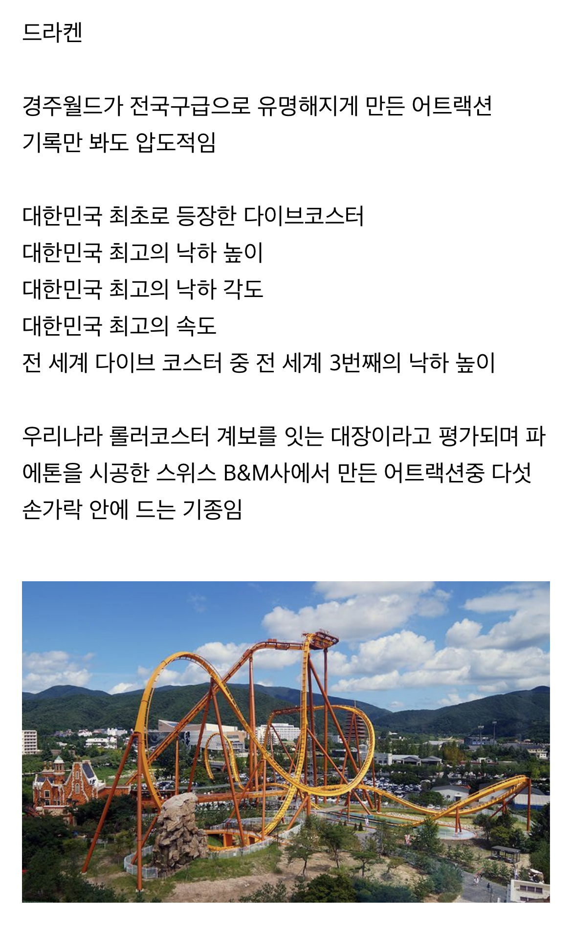 위치적 불리함을 개무서운 놀이기구로 찍어누른 국내 놀이공원.jpg | 인스티즈