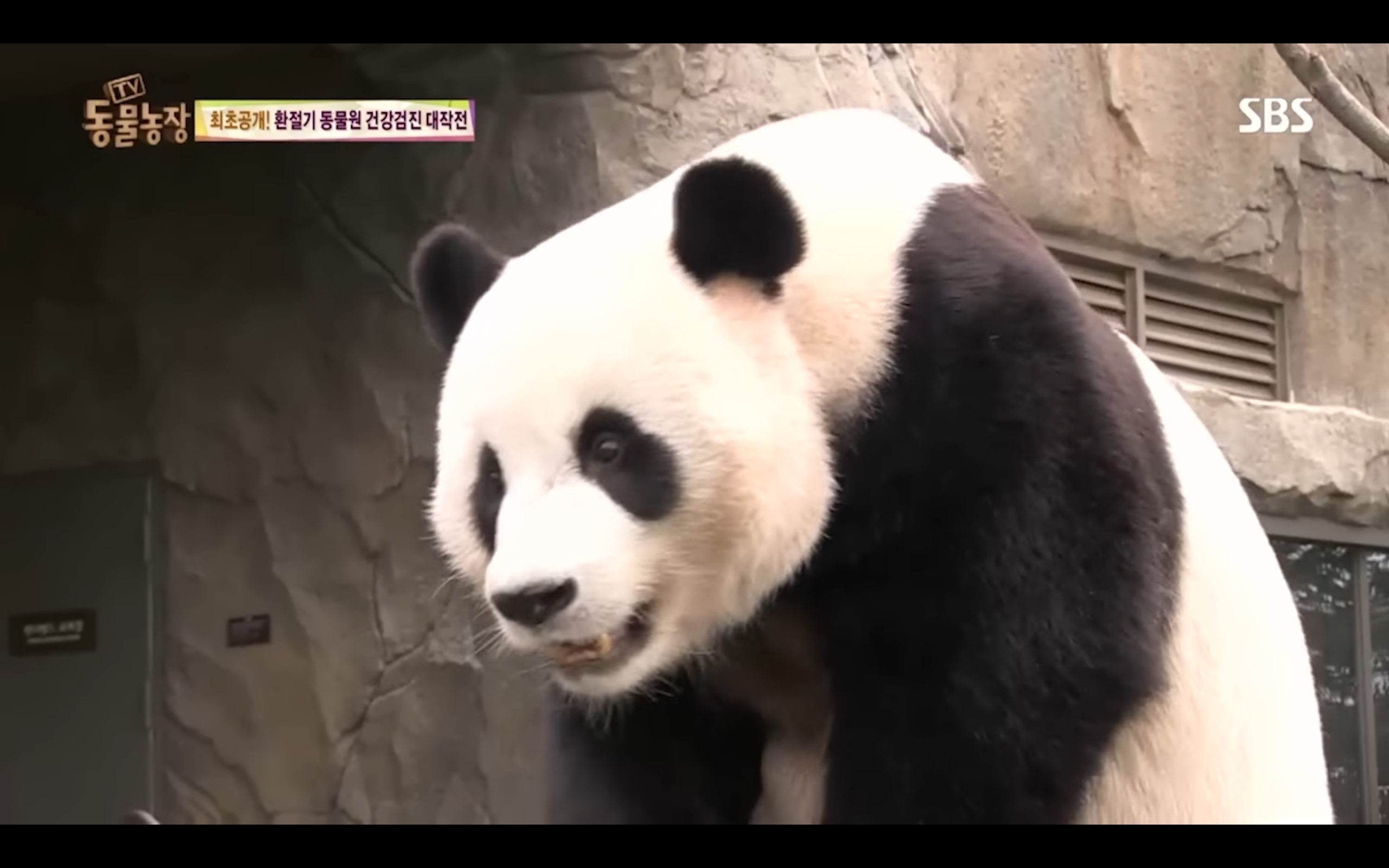 515f10fcbed26175a84c2b96b6878f75387b510f