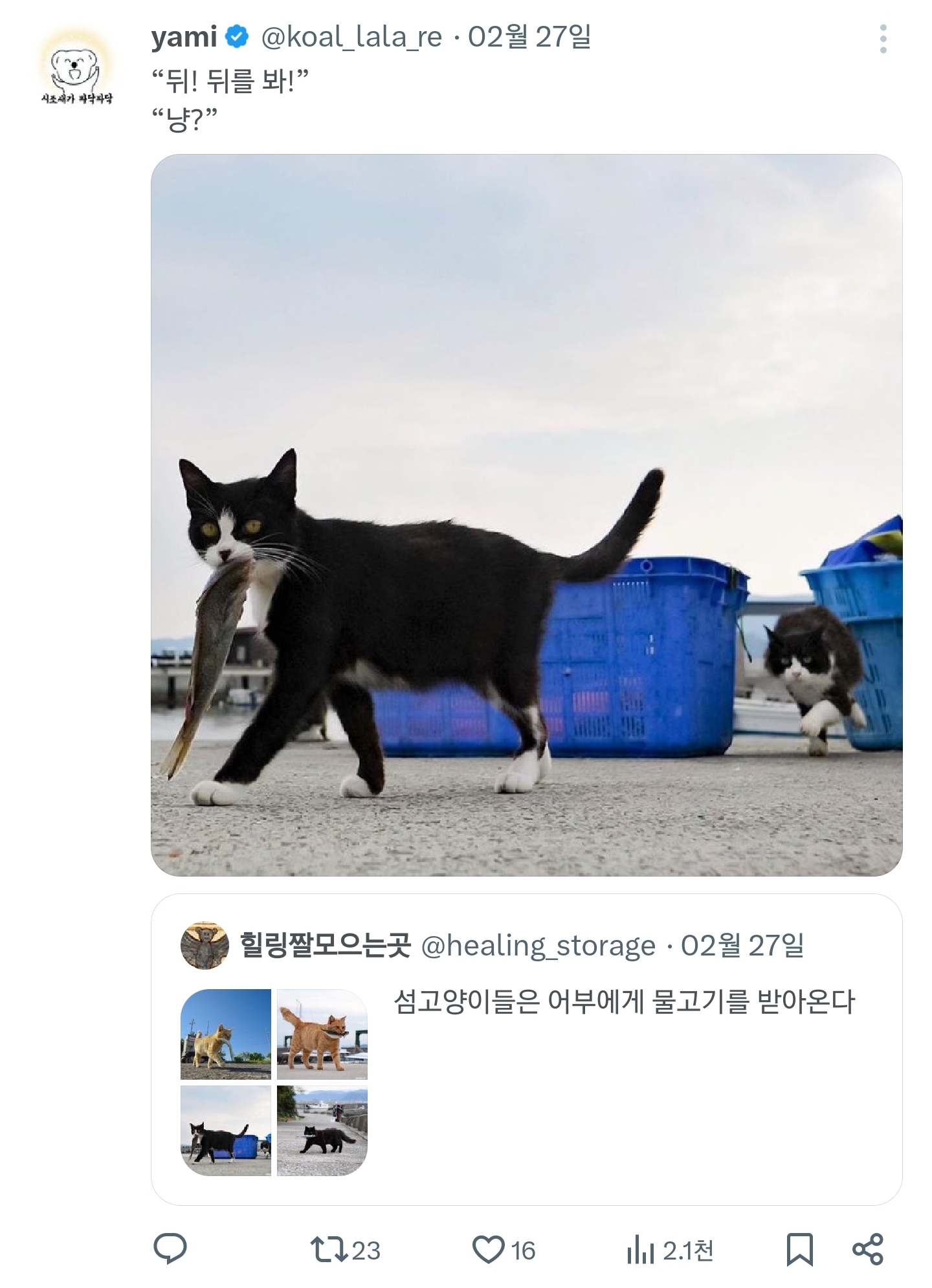 섬고양이들은 어부에게 물고기를 받아온다 | 인스티즈