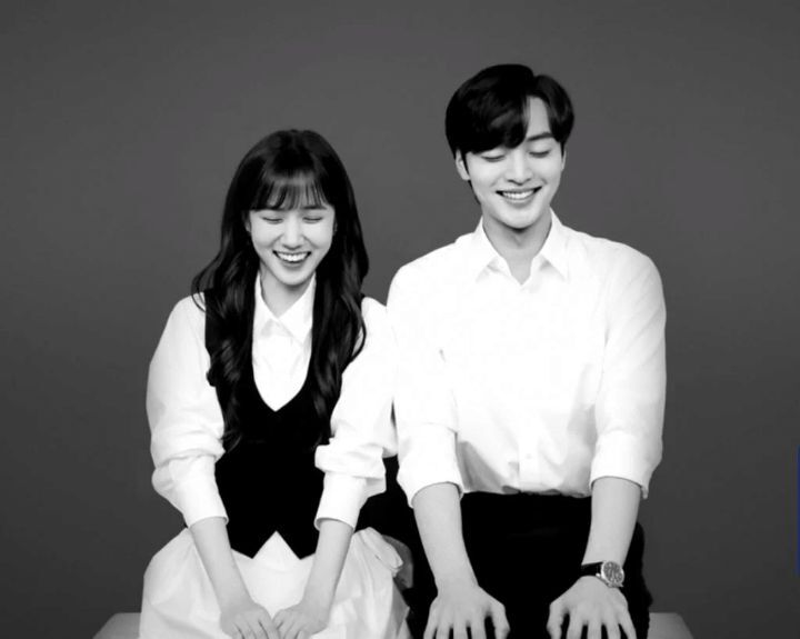 송아 이미지