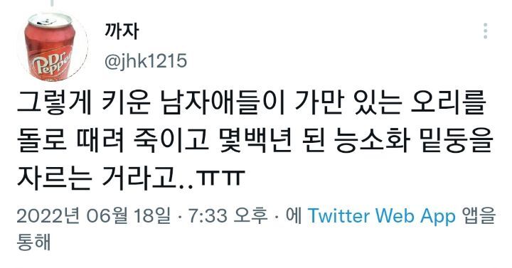 원래 남자애들은 좀 그래...그렇게 키운 남자애들이 오리를 죽이고 능소화 밑둥을 자르는거라고 | 인스티즈