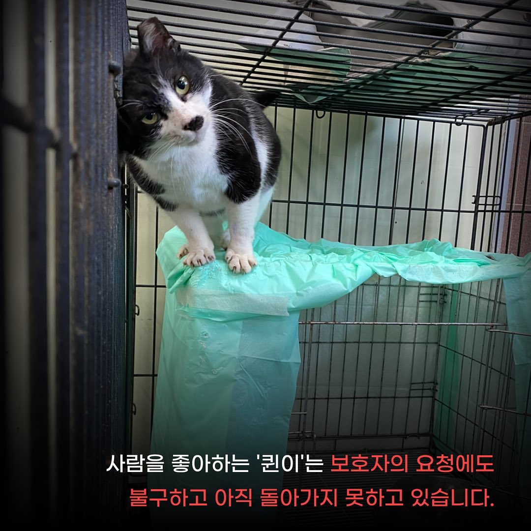마라도 고양이 2차 회의에서 조류관계자가 고양이는 살처분 해도 되는 존재다 라고 발언 | 인스티즈