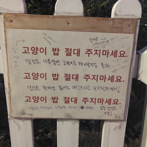 당신은...태어난 사람.twt | 인스티즈