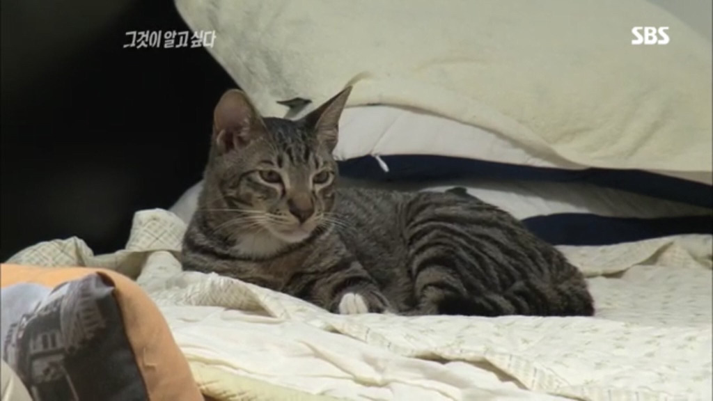 당신은...태어난 사람.twt | 인스티즈