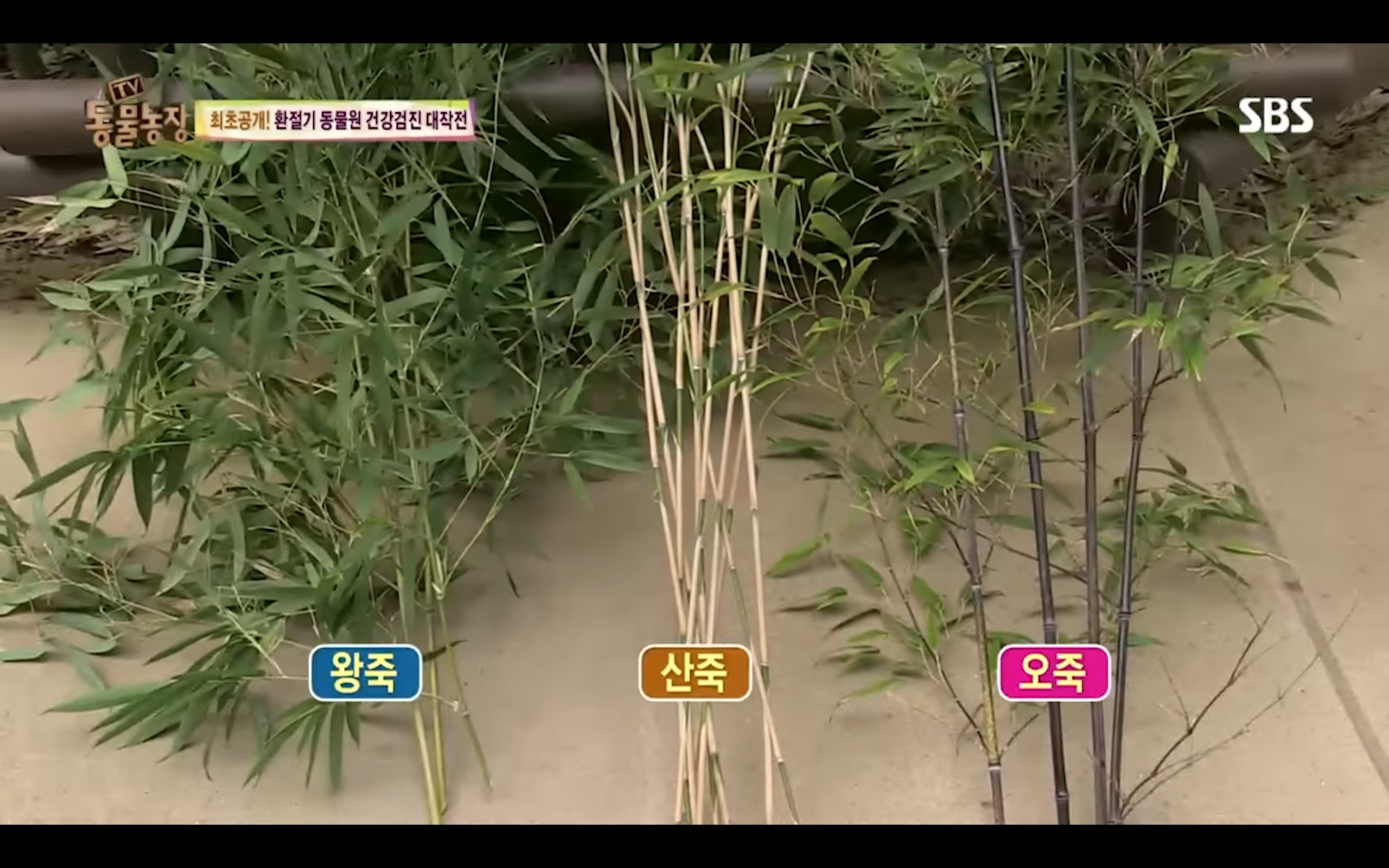 6283018d9425c3b2d94613a803782839b637d977