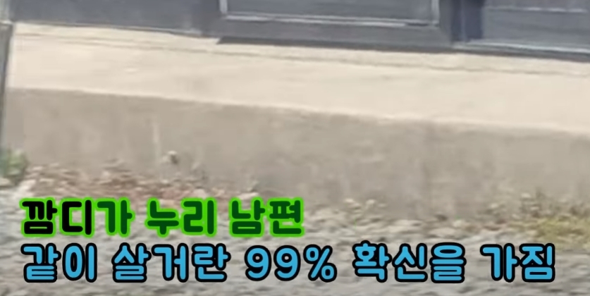 63eae05b2abfca5341fed0fa8086b12413def4ed