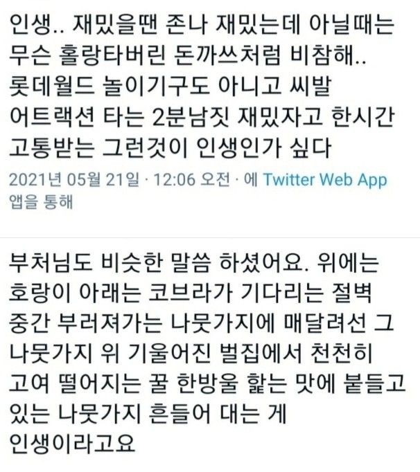 우리 같이 귀여운 할머니가 되자. twt | 인스티즈