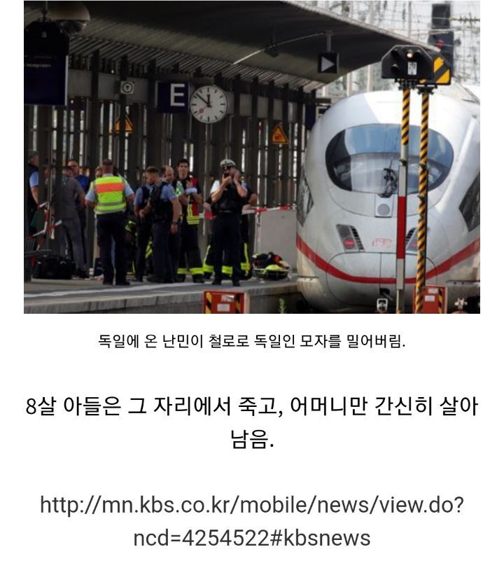 무슬림 난민들을 받아줬다가 헬게이트 된 유럽 상황 | 인스티즈